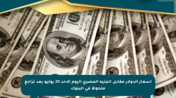 أسعار الدولار مقابل الجنيه المصري اليوم الأحد 20 يوليو بعد تراجع ملحوظ في البنوك